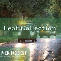 Fall Leaf Collection Extended through December 7, 2018