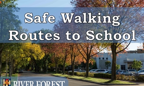 Safe Walking Routes to School
